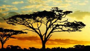 Tanzania